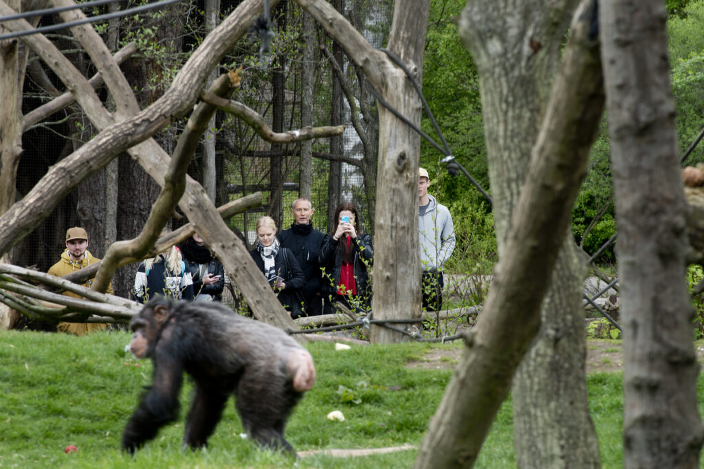 odense_zoo_4