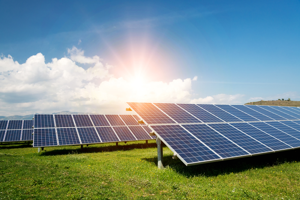 Solceller solpaneler klima energi shutterstock