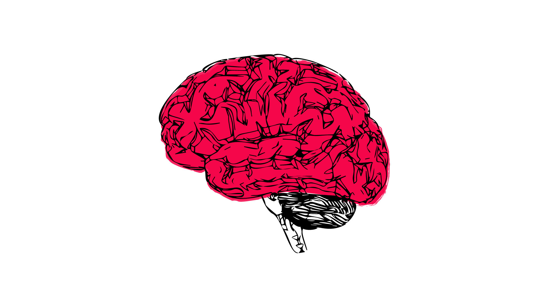 Brain_r2_Brain-Hjernebarkern-aspect-ratio-1920-1080
