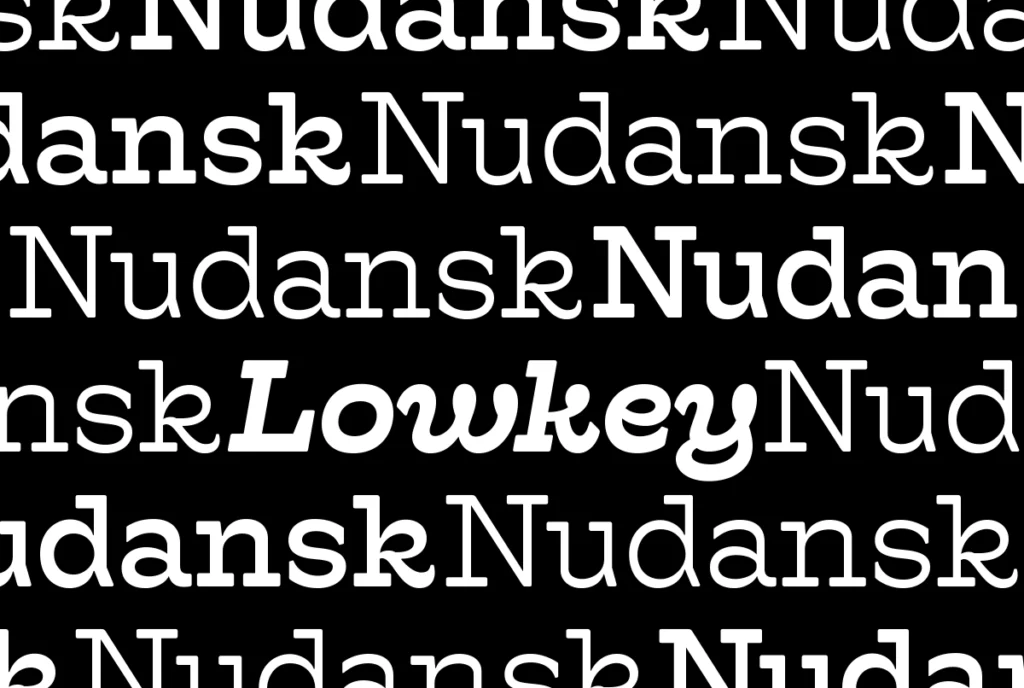 GS_Nudansk_Lowkey